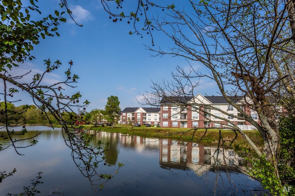 Village Square of Hot Springs Lake