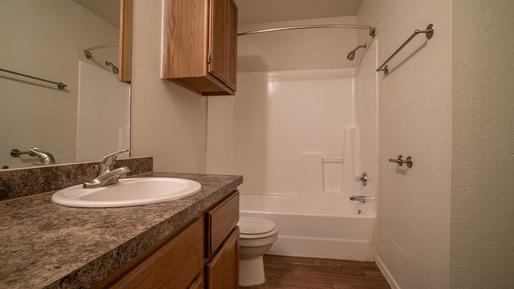 a bathroom with a sink and a toilet and a shower