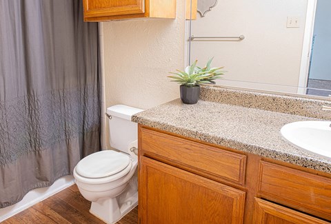 Deer Cross Apartments Lufkin, TX Bathroom II