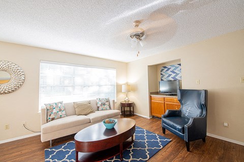 Deer Cross Apartments Lufkin, TX Living Room Interior II