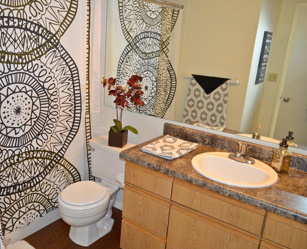 Willows of Coventry Apartments Bathroom