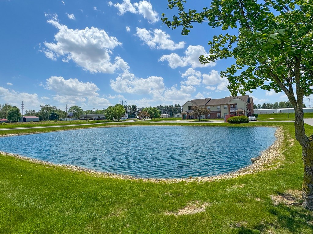 A large body of water surrounded by grass and trees with a house in the background.