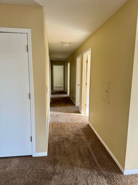 a hallway with a carpeted floor and a white door