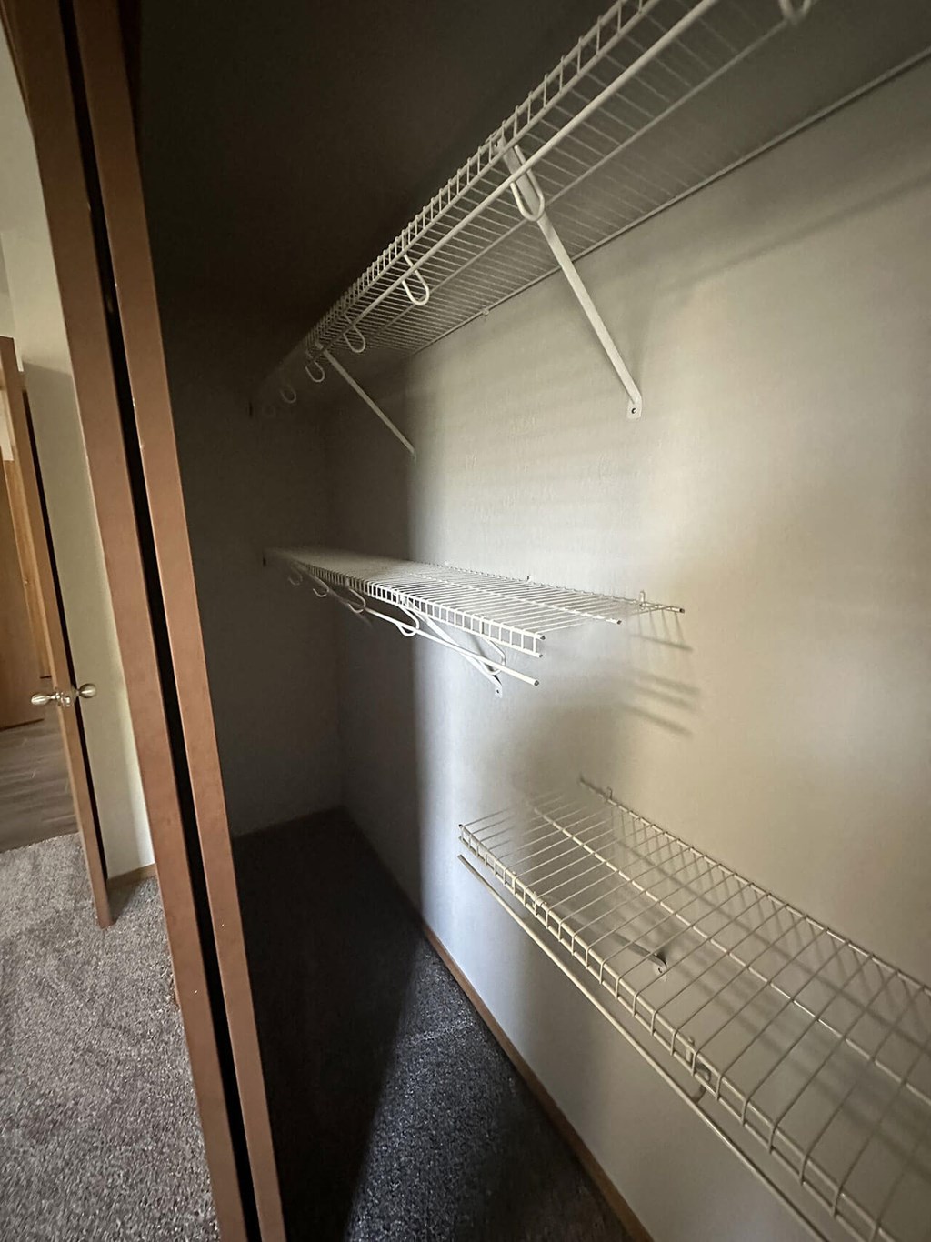 a walk in closet with empty shelves and a door
