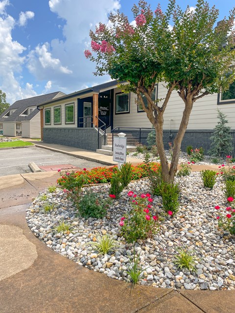 A small tree with red flowers in front of a building.