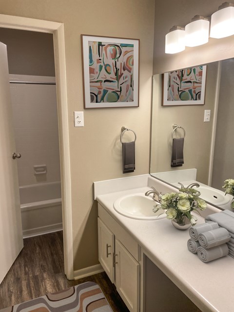 A bathroom with a white sink and a mirror.