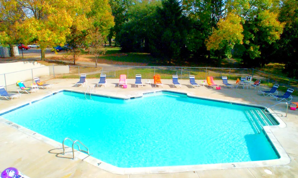 a swimming pool with chairs and trees in the background