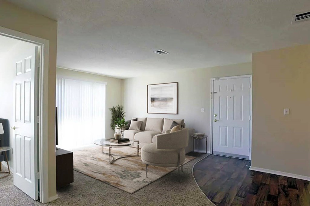 A living room with a couch, chair, and rug.