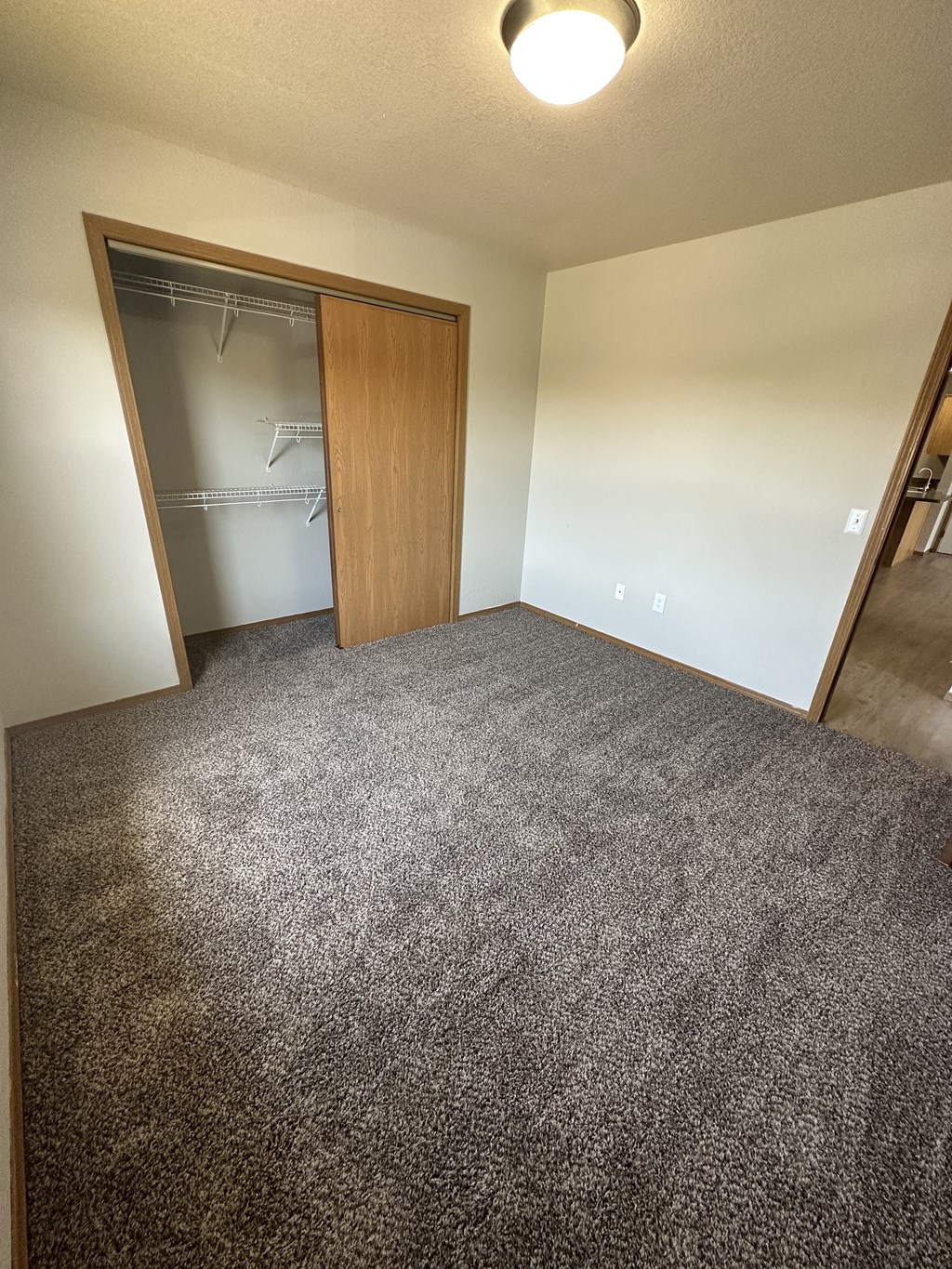 an empty bedroom with a closet and a carpeted floor