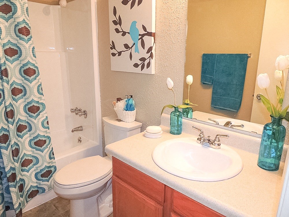 Ashton Pines Apartments Shreveport, LA Bathroom