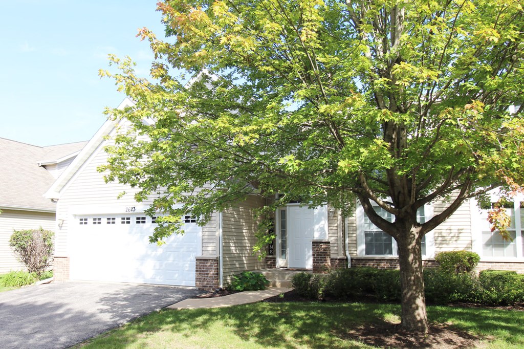 a white house with a tree in front of it