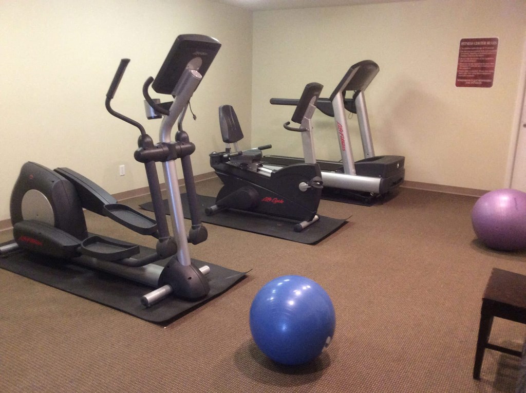 the gym has plenty of machines and exercise balls