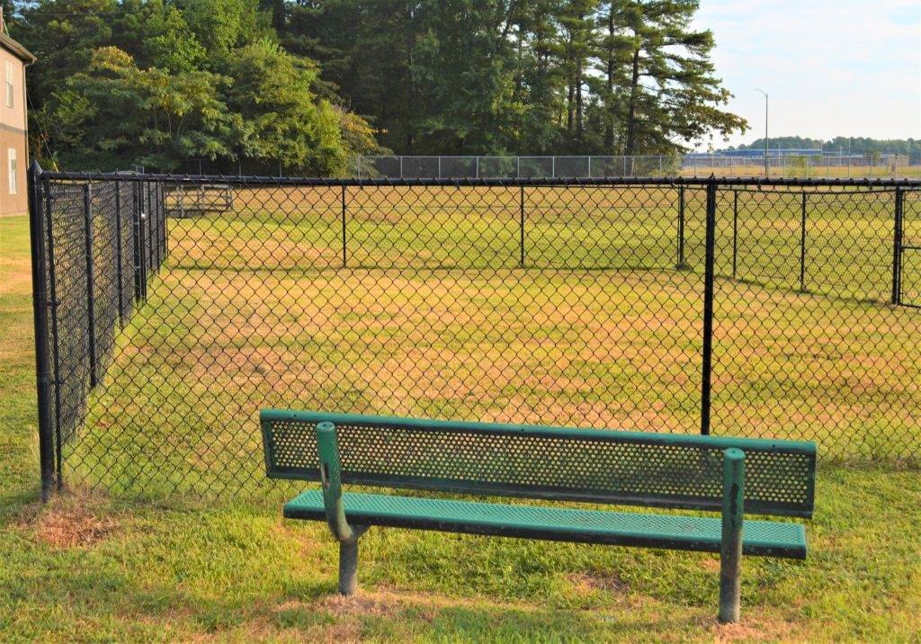 A green bench sits in front of a chain link fence.