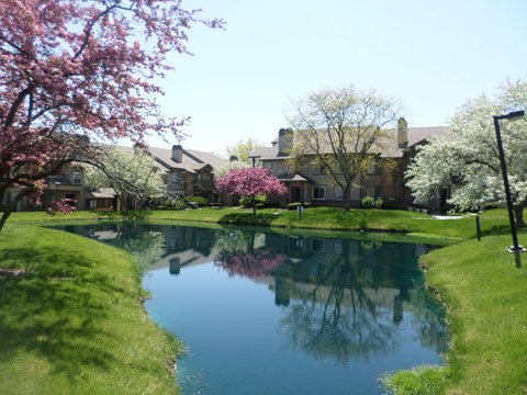 A pond in a garden with a house in the background.
