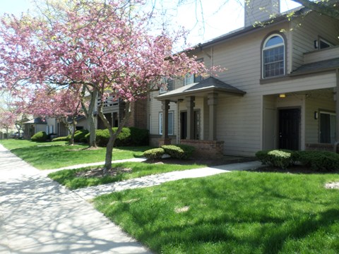 A tree with pink blossoms is in front of a house.