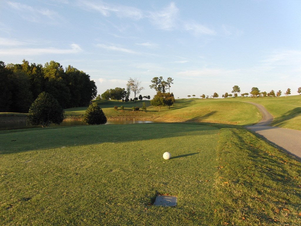 a view of a golf ball on the green at a golf course