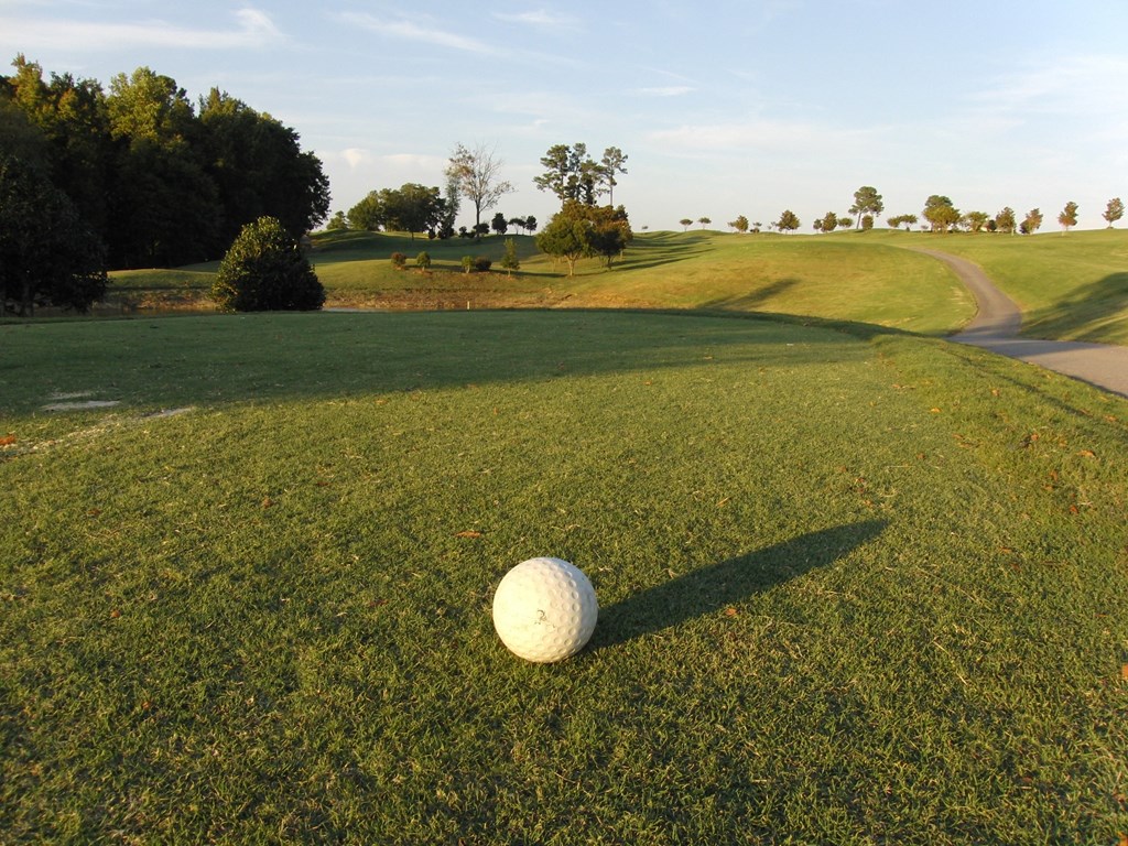 a golf ball on the green at a golf course