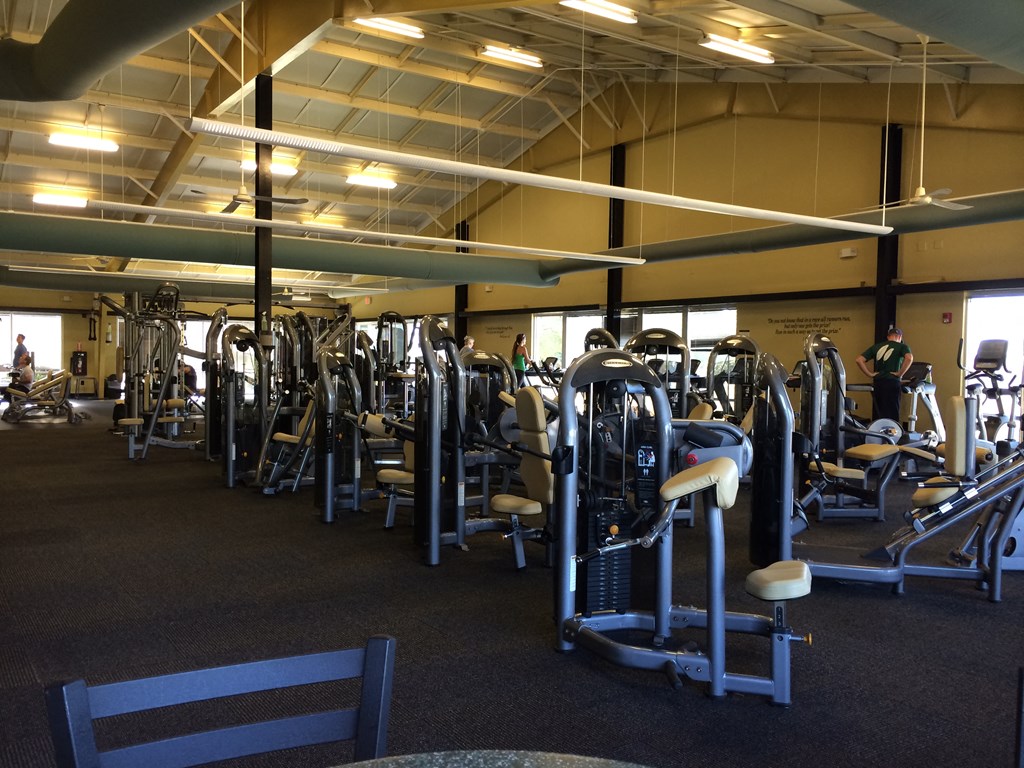 a gym full of weights and cardio equipment