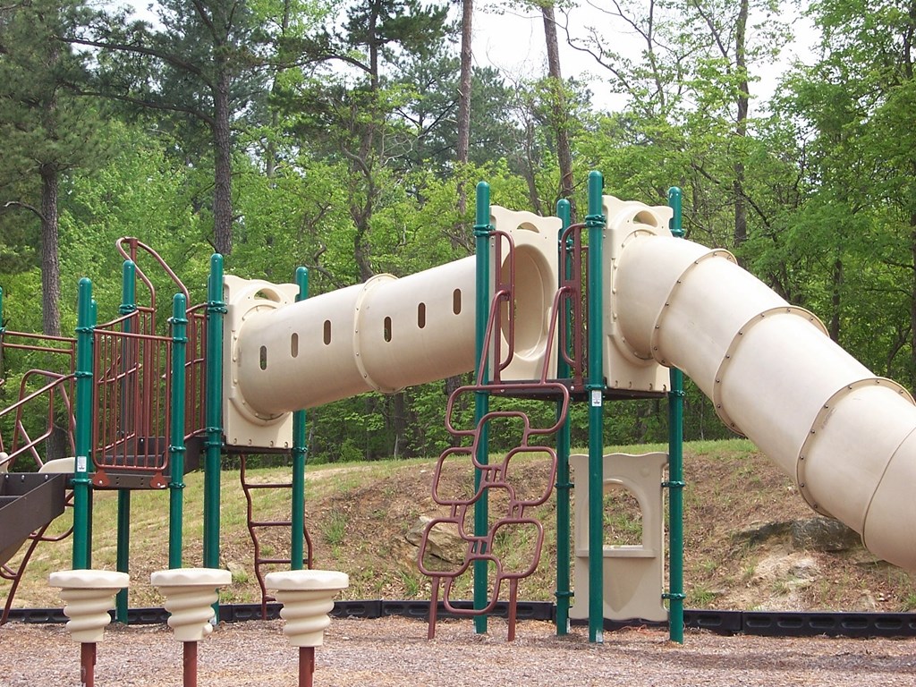 Mingo Creek Townhomes Playground