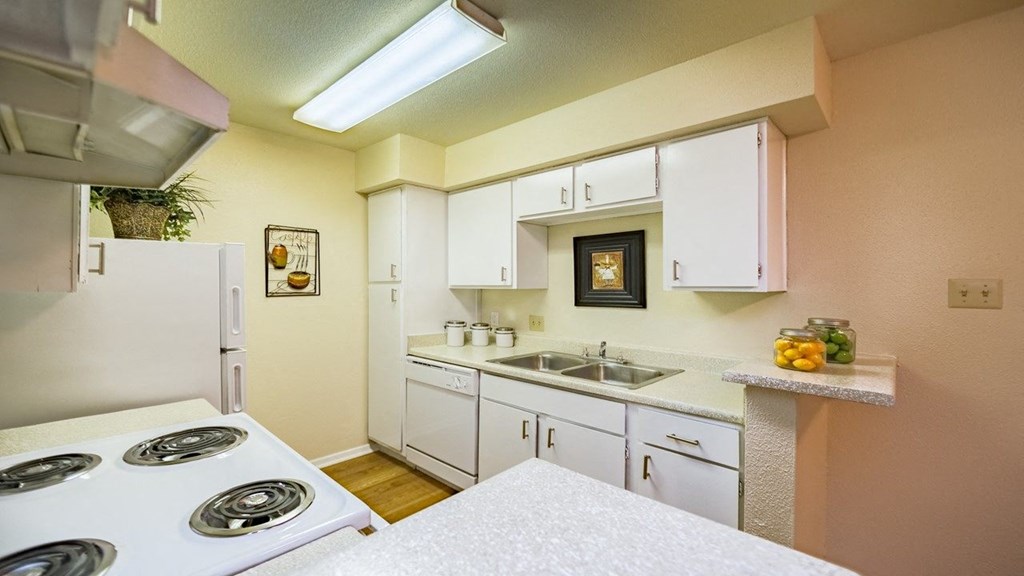 a kitchen with a stove sink and refrigerator