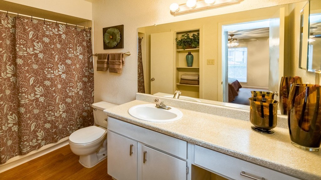 a bathroom with a sink and a toilet and a shower