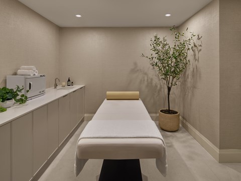 Alta Spa Massage Room