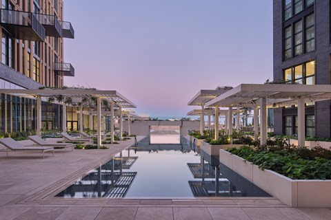 Canopy Pool Club