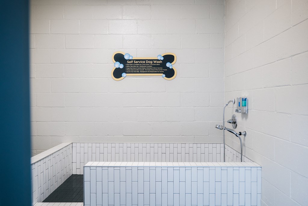 Dog Wash at The Quarter House, Jackson, Mississippi