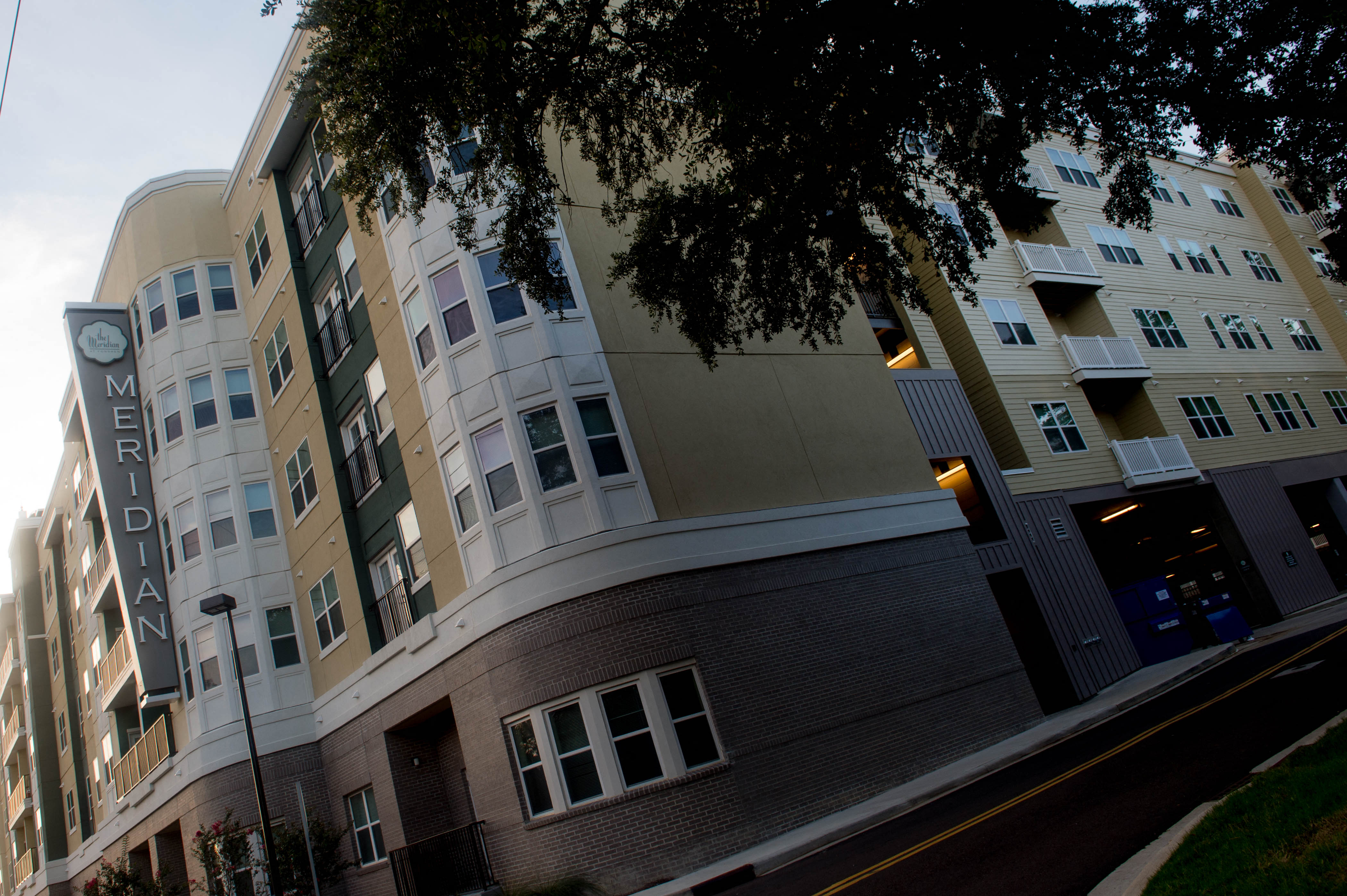 an apartment building with a tree in front of it