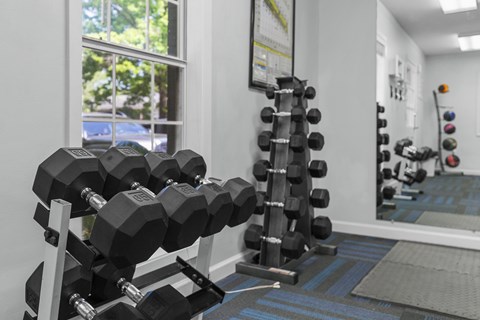A gym with a rack of black dumbbells.