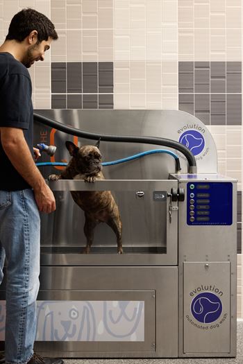 A man is grooming a dog in a grooming station.