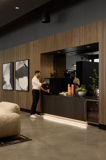 A person is standing at a counter with a plant on it.