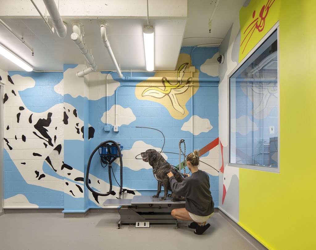 Pet Spa at The Q Topanga, Woodland Hills, 91367