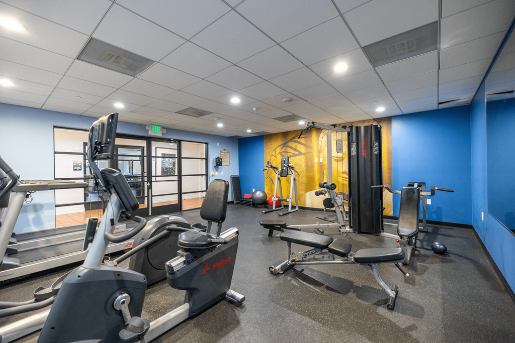 A gym with a variety of equipment including treadmills, weights, and exercise machines.