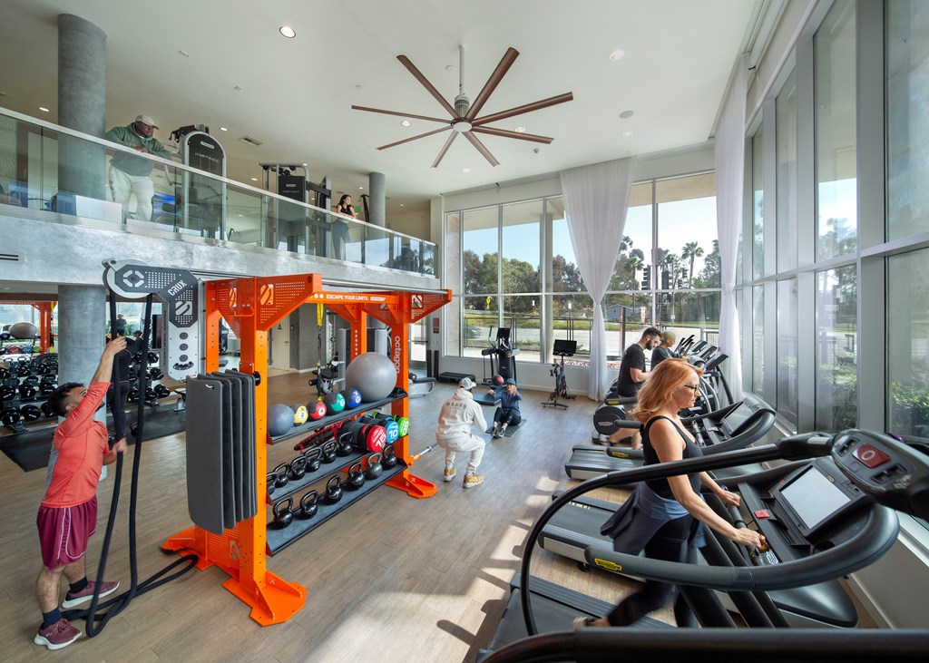 a group of people exercising in a gym