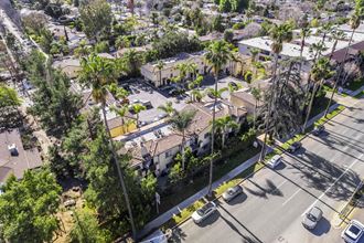 an aerial view of a neighborhood with palm trees and cars parked on the street at The Village Apartments, Van Nuys, 91406 - Photo Gallery 3