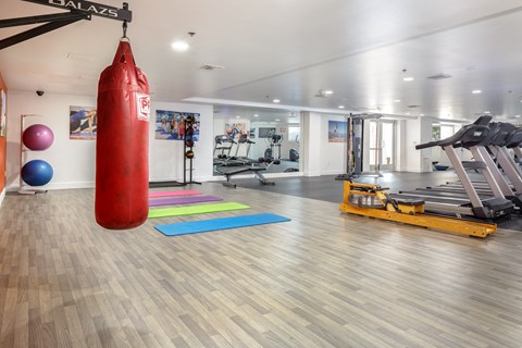 a gym with a punching bag and exercise equipment