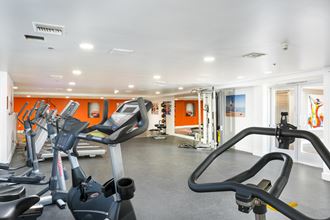 a gym with cardio equipment and weights in a home gym