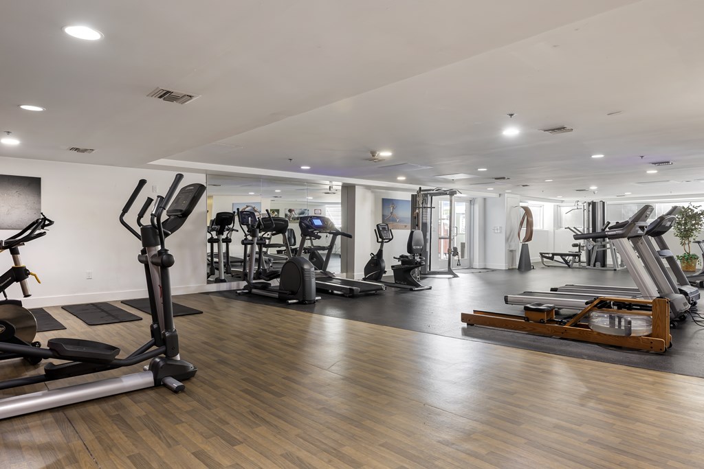 The Social Apartments