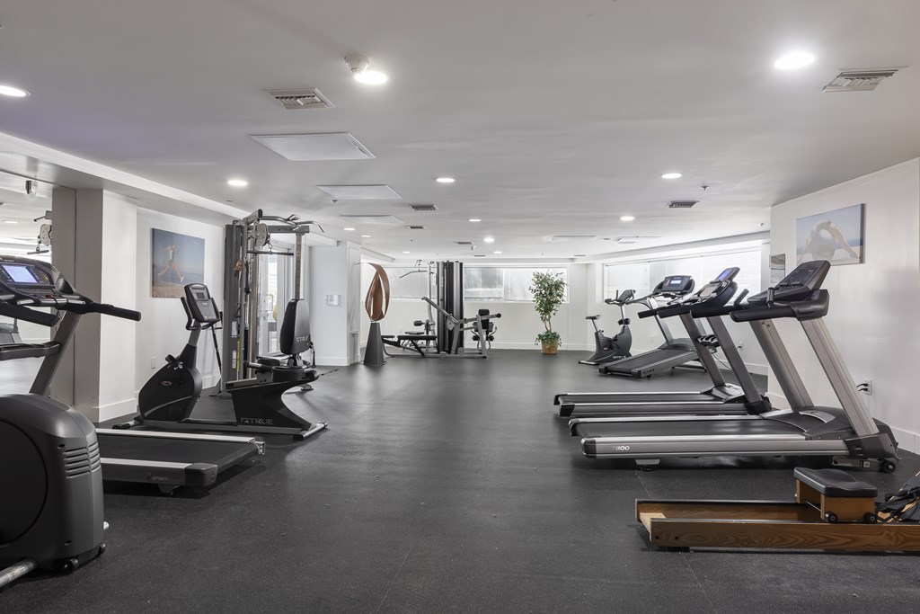 The Social Apartments