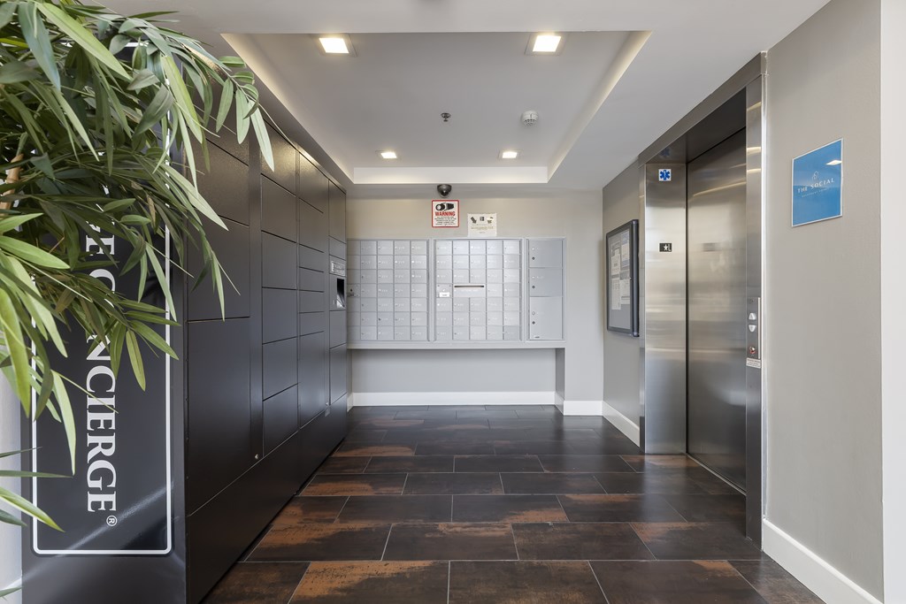 The Social Apartments