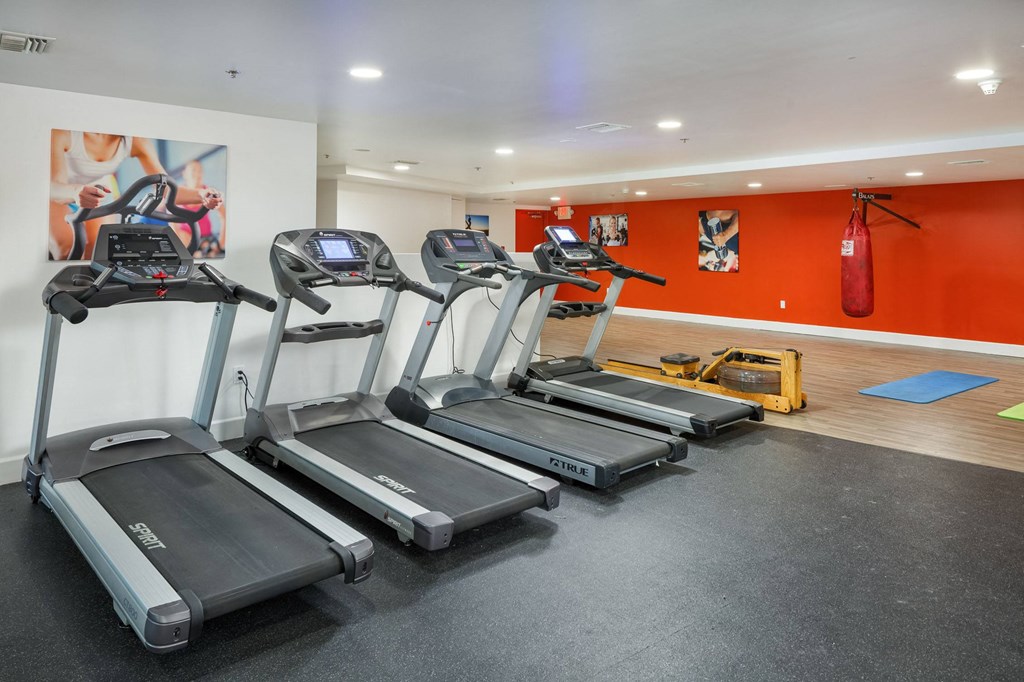 The Social Apartments