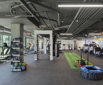 a view of the gym with weights and other exercise equipment