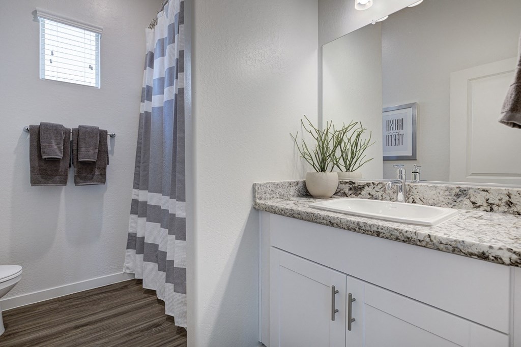 Upgraded Bathrooms with Granite Counters at Pillar Lago