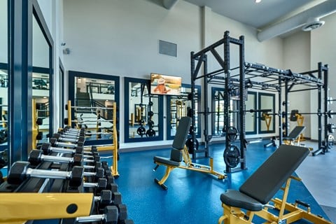 a gym with cardio equipment and weights on a blue floor at Cuvee, Glendale, AZ
