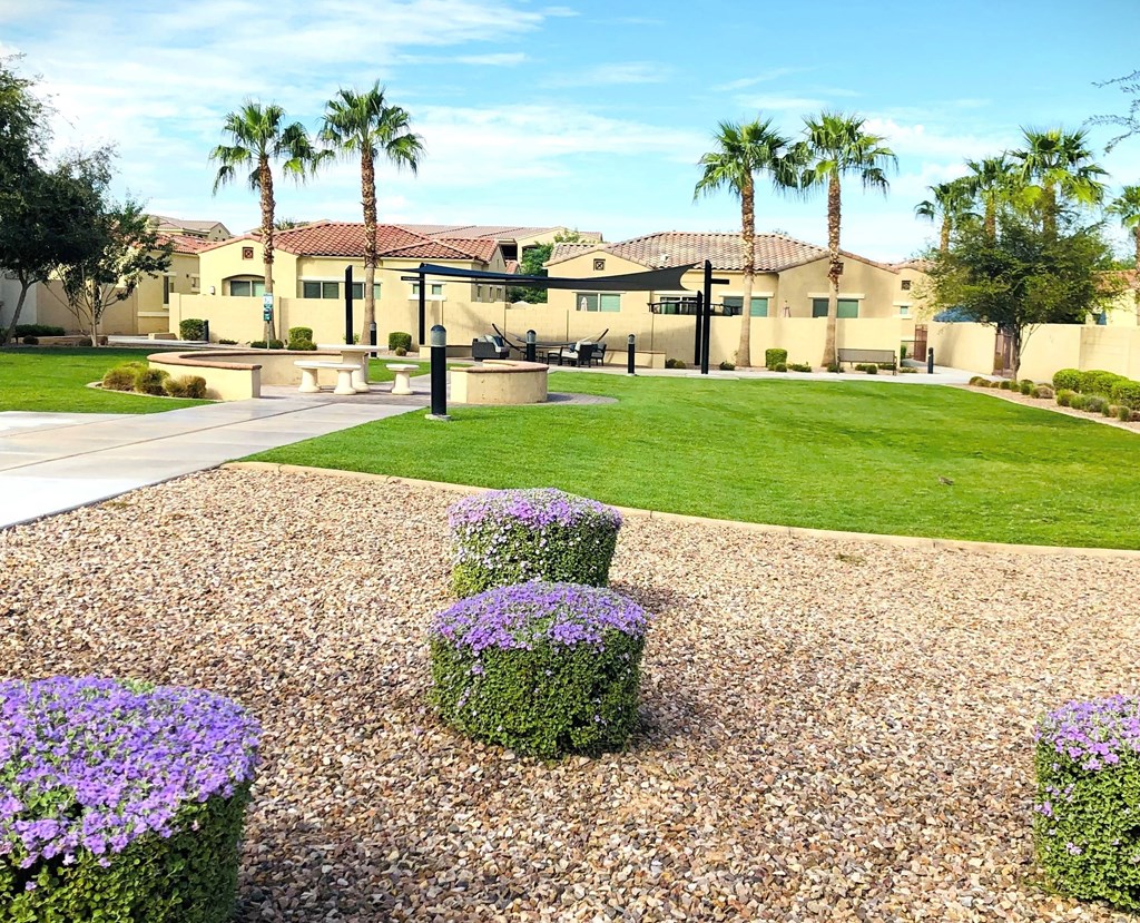 Park area at Chandler Heights, Chandler, AZ