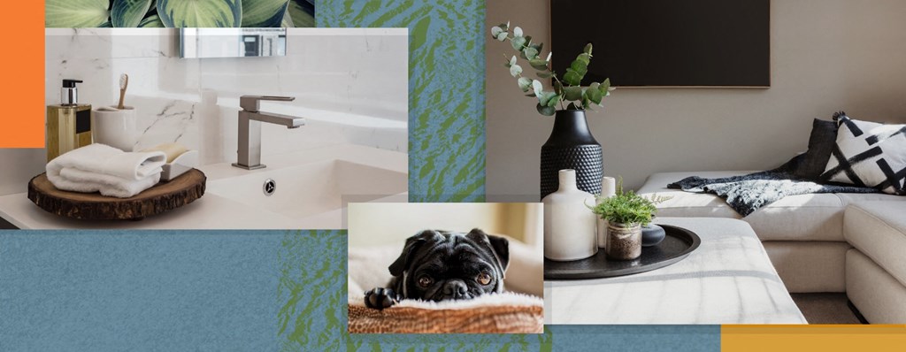 Living Space at Elevation San Tan, Arizona