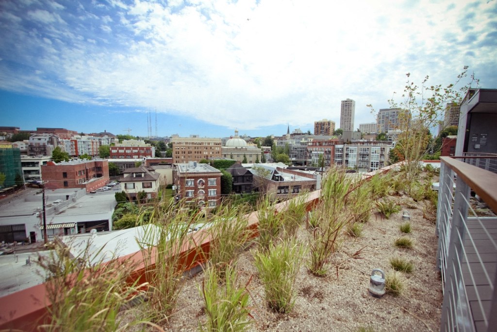 Rooftop at Pine Minor, Washington, 98101