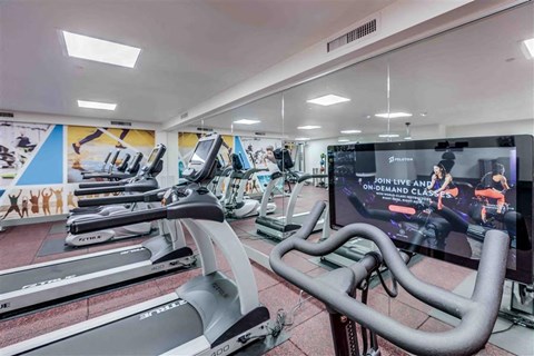 A gym with treadmills and a screen showing a live class.