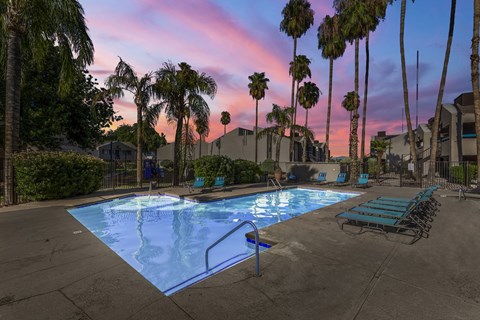 A swimming pool surrounded by palm trees at dusk.